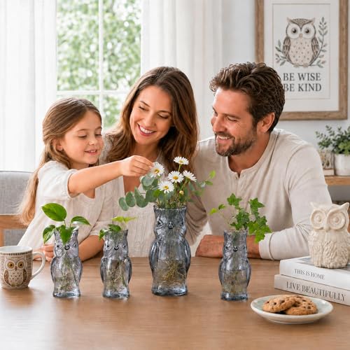 Nacome Owl Plant Propagation Station: Set of 4 Cute Grey Glass Vases - color: Gray