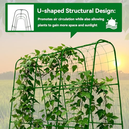 Cucumber Trellis for Raised Bed with Plastic Coated Steel Pipe-63"*50",Grn - size: 51L*23.6W*62.4H inch