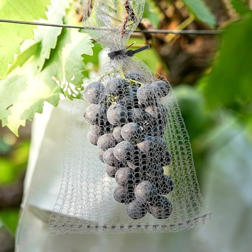 30PCS Stainless Steel Fruit Protection Bags for Garden Trees