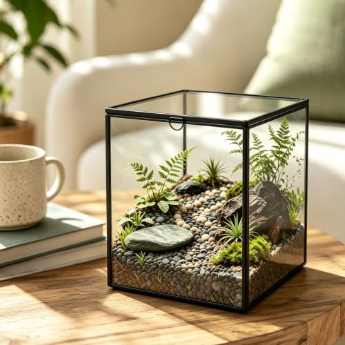 Ferrisland Glass Geometric Plant Terrarium, Clear Glass Succulent - size: 6.89" L x 6.89" W x 6.89" H