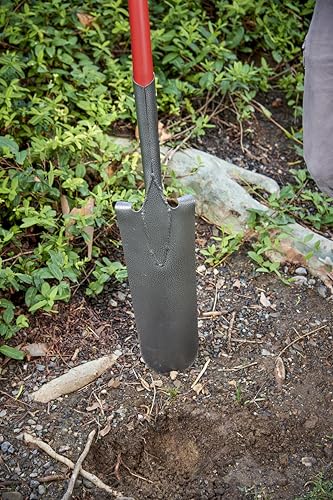 Corona Clipper Closed-Back 14-Gauge Drain Spade SS 62020