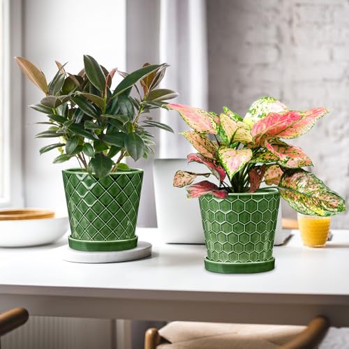 BUYMAX 6 Inch Plant Pot Ceramic Flower Pots Set of 2 with Drainage Hole - color: Patina