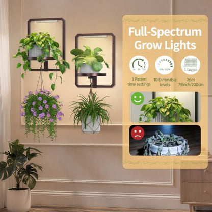 LASZOLA Plant Picture Frame Holder Shelf Wall with Lights, 2 Pcs Brown - color: Brown with Light, size: 2