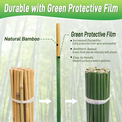 50Pcs 2ft Bamboo Sticks for Indoor Outdoor Plants, 0.29"-0.38" Natural Bamboo Poles, Durable Garden Stakes for Tomatoes, Beans, Flowers and Potted Plants - size: 2FT 50PCS