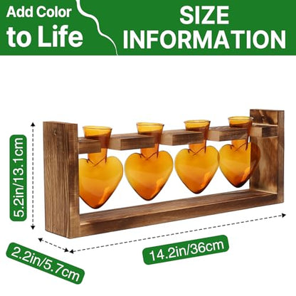 Plant Propagation Stations Heart Plant Terrarium Kit - color: Amber