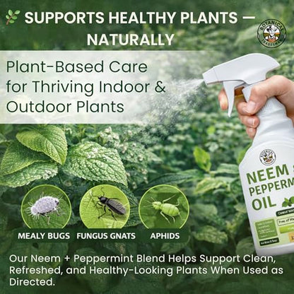Neem Oil Spray for Plants with Peppermint - Makes 320 Fl Oz - 20 Times Refill- DIY Kit 16 Oz | Indoor & Outdoor Leaf Wash & Shiner, Multi Purpose
