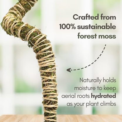 Mossify Bendable Moss Pole, 3 Pack, Assorted 16/30/42'', Forest Moss