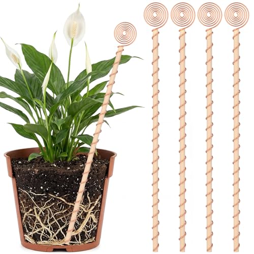 4 Pcs 13.5 Inch Electroculture Plant Stakes Copper Coil Plant Stakes for Garden Electroculture Antenna Garden Stake Wood Wrapped for Vegetable Flowers