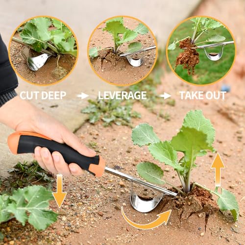 2026 Weed Puller Tool, 3 Pack New Garden Stainless Steel Weeder Tool Hand Weeder Tool,Multi-Purpose Weed Remover Tool Weeding Tools for Gardening(Rubber Handle)