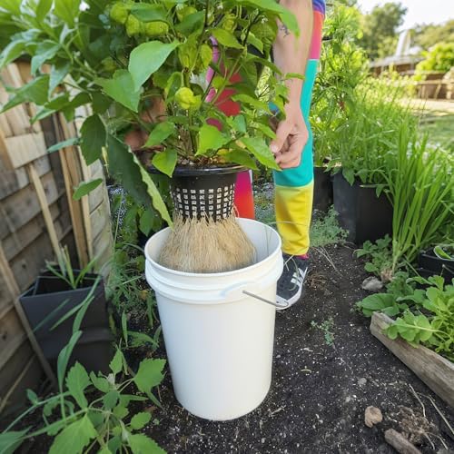 6 Inch Net Pots with Wide Lids for 3.5 and 5 Gallon Buckets 5 Pack Hydroponic Net Cups - color: Small Opening-5pcs
