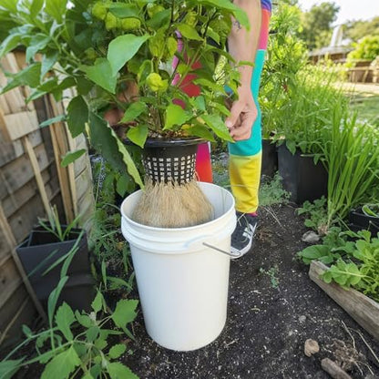 6 Inch Net Pots with Wide Lids for 3.5 and 5 Gallon Buckets 5 Pack Hydroponic Net Cups - color: Small Opening-5pcs