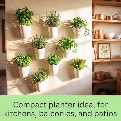 LaLaGreen Self-Watering Wall Planters (4in, 10 Pack) White Indoor Plants - size: 4" (10 cm)