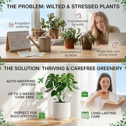 2 Pack 26 oz Extra Large Plant Self Watering Globes to 3 Weeks Watering - size: 2 pack