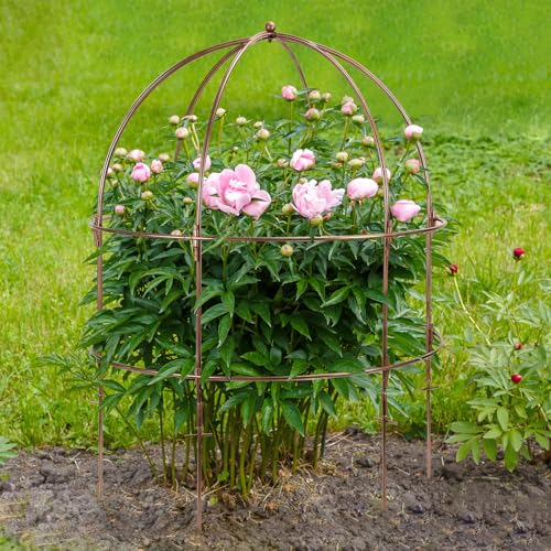 NNG 26 Inch Bird Cage Plant Support, Metal Grow-Through Cage with Dome Top
