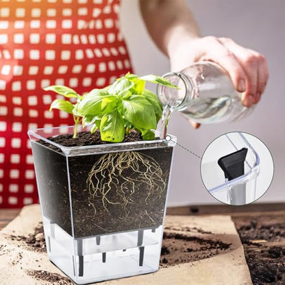 Self Watering Pots Set, Clear Self Planter Pot for Indoor Plants - size: 3Pcs Large