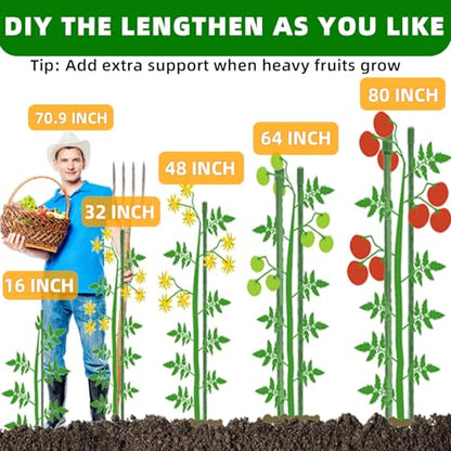 Fabulas Garden Stakes 16 Inch 30 Pack, Diy 4ft 5ft 6ft 7ft 8ft Tomato Stakes Plastic Coated Metal Plant Sticks Stakes Supports with 20 Connectors 15 Rotatable Clips for Indoor Outdoor Plants Vegetable - size: 16inch-30pcs
