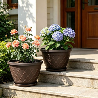 6 Pack 8 Inch Plant Pots, Planters with Drainage Holes & Saucers - size: 8 Inch - 6Pack