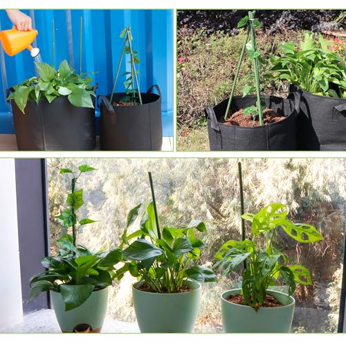 50Pcs 2ft Bamboo Sticks for Indoor Outdoor Plants, 0.29"-0.38" Natural Bamboo Poles, Durable Garden Stakes for Tomatoes, Beans, Flowers and Potted Plants - size: 2FT 50PCS
