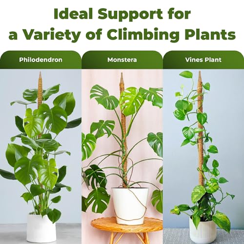 2Pcs 28'' Moss Pole Monstera Plant Support - Plant Stakes for Indoor Plants - size: 2-Pack (28 in)