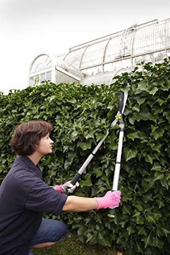 Spear & Jackson 8120KEW Kew Gardens Telescopic Hedge Shear, Blue