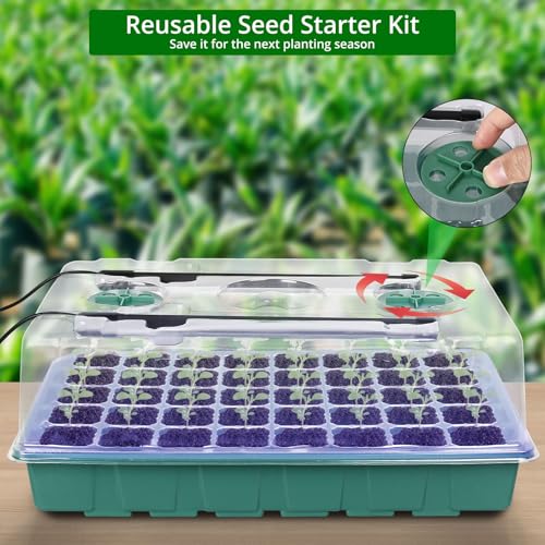 Sondiko Seed Starter Tray with Grow Light, Display Digital Controller - color: Dark Green