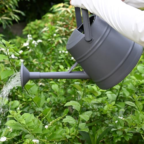 1 Gallon Watering Can for Plants - color: Dark Grey