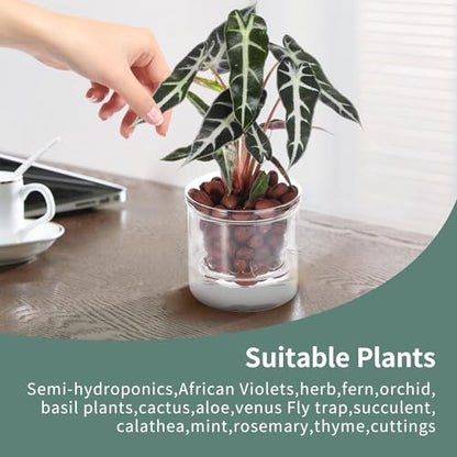 4 Inch Glass Plant Pot for Indoor Plants,Home Table Decoration