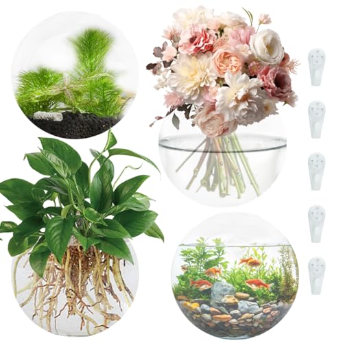 4 Pack Wall Propagation Planters, Oblate Glass Hanging Terrarium