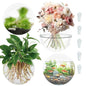 4 Pack Wall Propagation Planters, Oblate Glass Hanging Terrarium