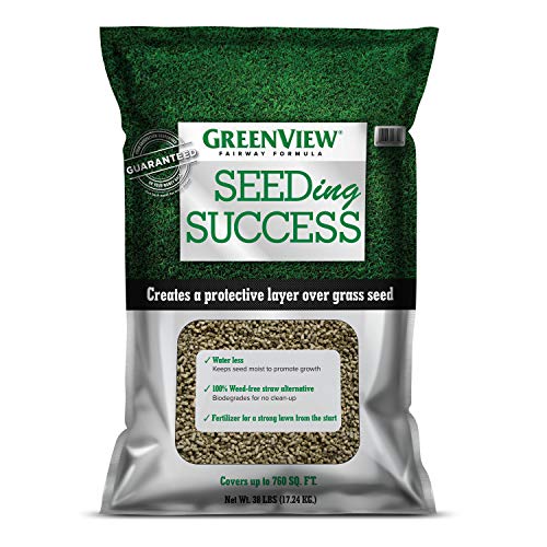 GreenView Fairway Formula Seeding Success plus Starter Fertilizer - 38 lb. - size: 38 lb. Bag - Covers 760 Sq. ft.