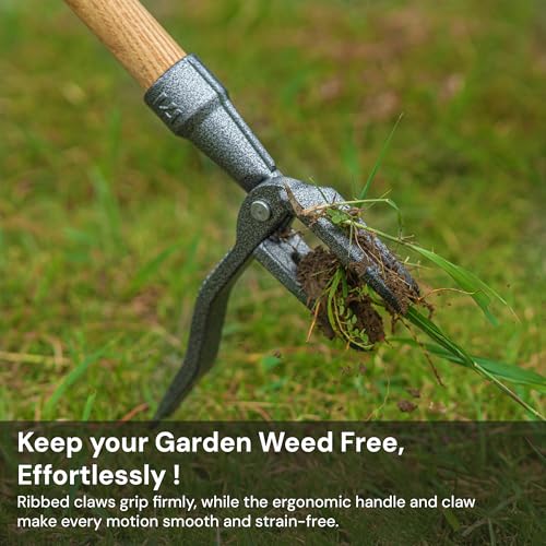 4-Claw Stand Up Weed Puller Tool, Long Handle for Weed Removal