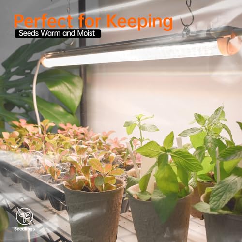 Bstrip 4-Tier Large Indoor Greenhouse with Grow Light, 58x13.8x59in - color: Transparent