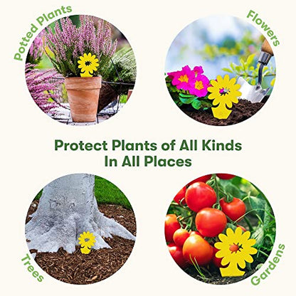 BugMD Yellow Sticky Bug Traps for Plants, 12 Pack
