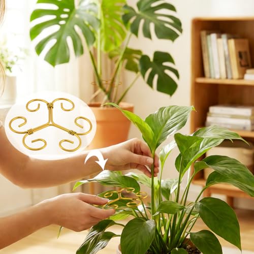 5Pcs Plant Stem Support Iron Monstera Plants Supports - color: Gold