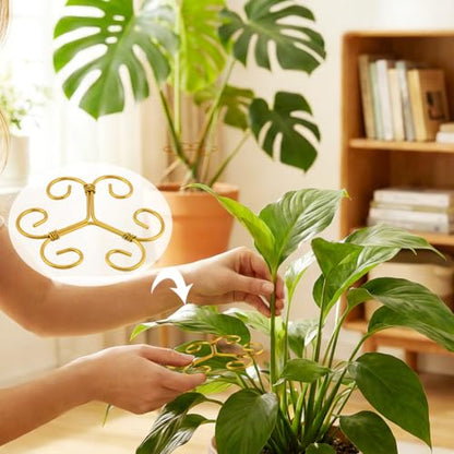 5Pcs Plant Stem Support Iron Monstera Plants Supports - color: Gold