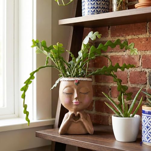 Face Planter Pot with Heart Hands Indoor Plants Resin Head Planter, Brown - color: Brown