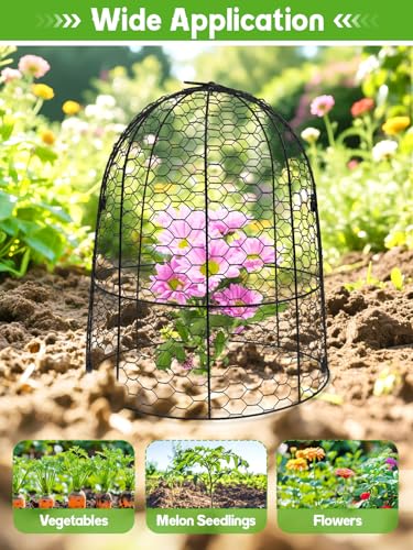Kalolary 8 Packs Plant Protectors from Animals Large Wire Plants Cage - style: Cloche