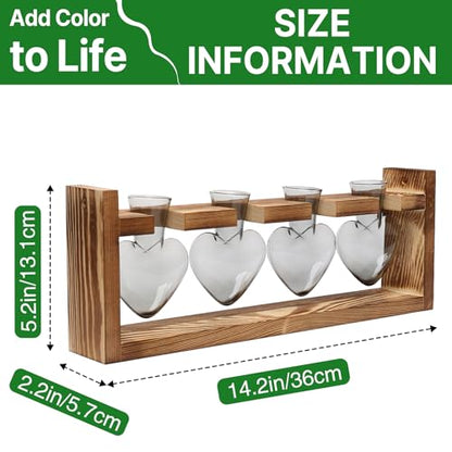 Plant Propagation Stations Heart Plant Terrarium Kit - color: Gray