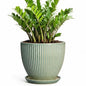 Ceramic Flower Pots, 10 Inch Plant Pot with Saucer, Green - color: Green, size: 10 Inch