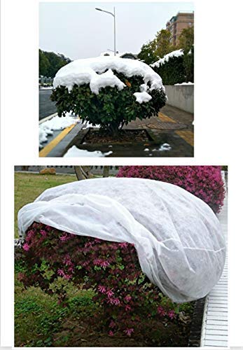 Agfabric Plant Cover H72 xDia72 0.9oz Freeze Cloths for Plants Plant Frost Protection Covers Drawstring Bags,White - size: 0.95oz-H72"xDia72"