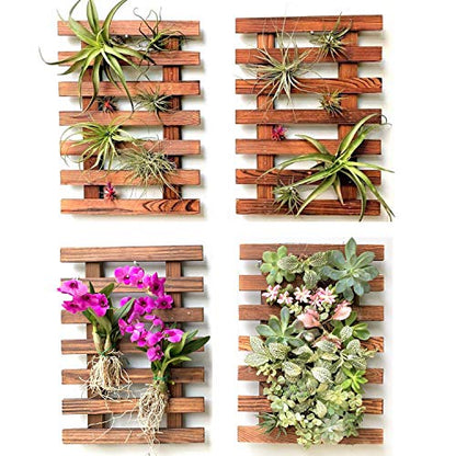 ShopLaLa Wooden Wall Planter (40cm, 4 Pack) Hanging Planters for Indoor - size: 40cm (15.7") x 4