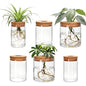 6Pcs 3 Size Glass Plant Propagation Stations, Desktop Flower Vases