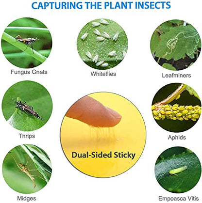 HGSLWFT 5 Count Sticky White Fly Trap (Pack of 5)