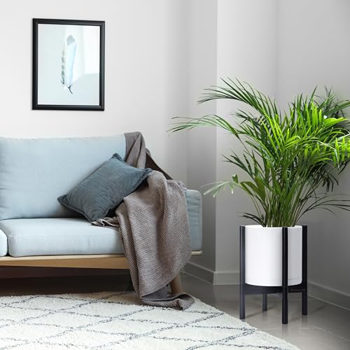 D'vine Dev Plastic Pot with Ebony Wood Stand, White, 10 in, 55-C-N-1 - color: Matte White Pot + Ebony Stand, size: 10 Inch