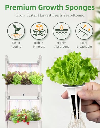 240pcs Hydroponics Seed Pod Kit: 120 Grow Sponges, 120 Pod Labels - Grow Anything Kit for Indoor Garden,Compatible with Hydroponics Growing System from All Brands(240pcs) - size: 240pcs