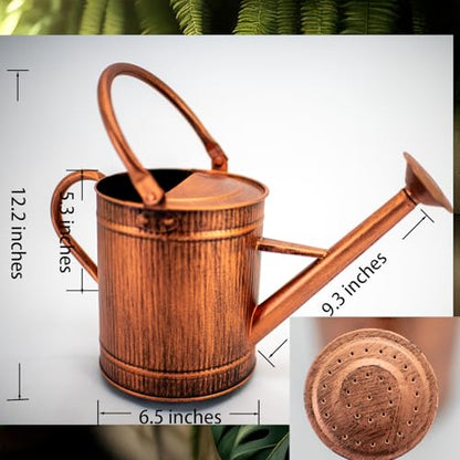 1 Gallon Copper Metal Watering Can, Removable Spout - color: Copper, size: 1 Gallon
