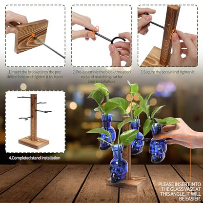 Plants Propagation Stations Skull Glass Propagation Birthday Gift for Women - color: Blue