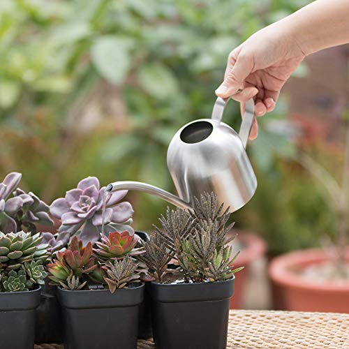 Watering Can for Indoor Plants, 450ml/15oz Stainless Steel - size: Silver 15 oz