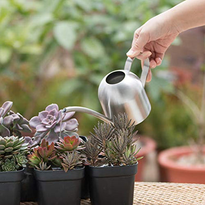 Watering Can for Indoor Plants, 450ml/15oz Stainless Steel - size: Silver 15 oz