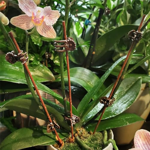 Plant Support Clips Reusable Garden Clips,100Pcs Medium Plant Clips
